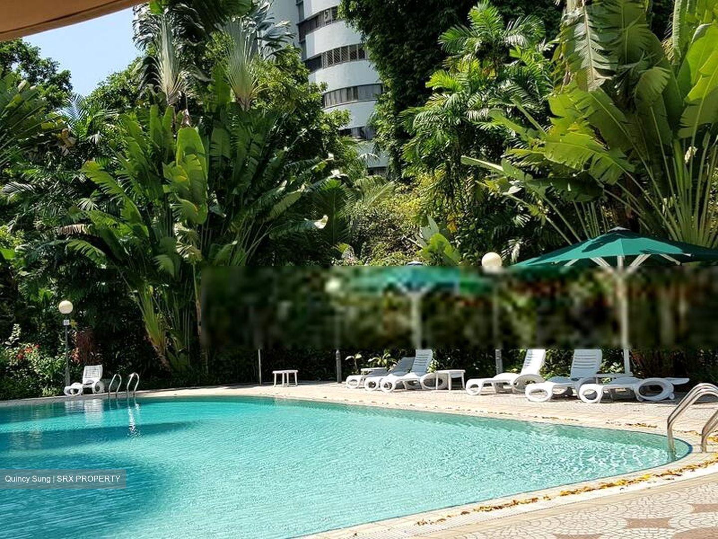 Teresa Ville (D4), Condominium #408739111